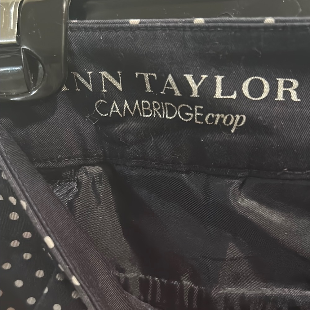 Ann Taylor Navy and White Polka Dot Trousers - Picture 3 of 4